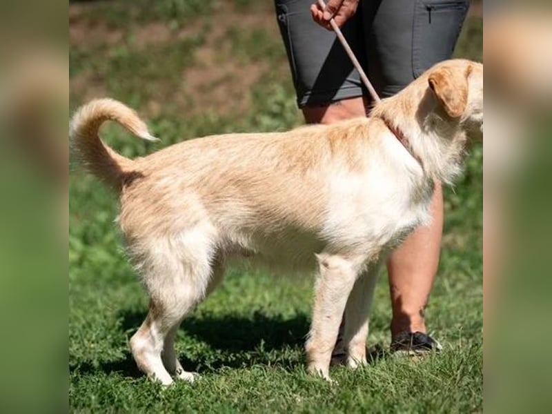 Quita