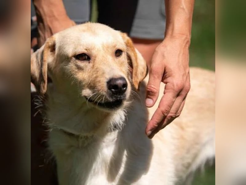 Quita