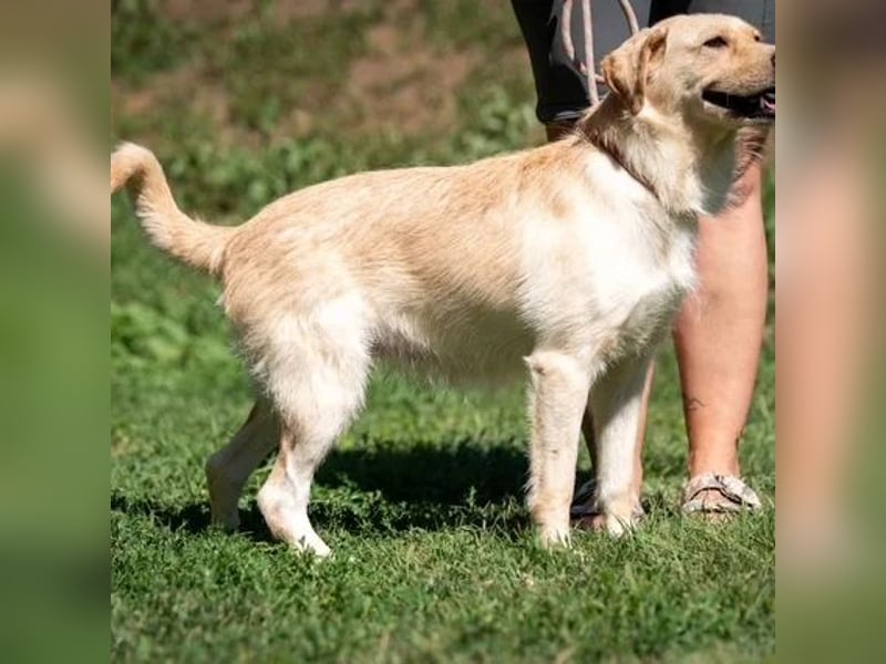 Quita