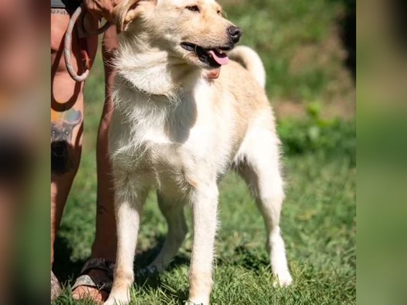 Quita