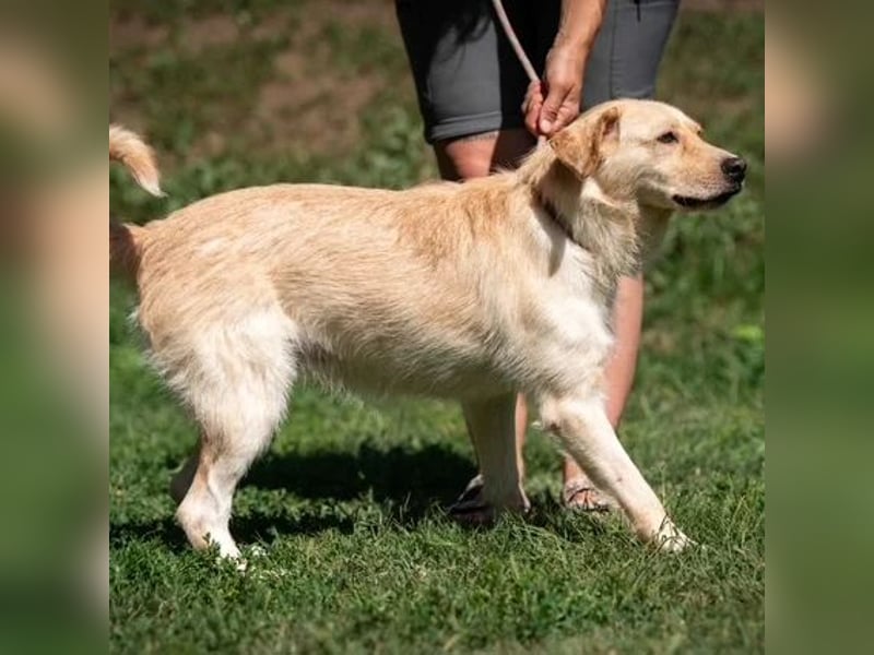 Quita