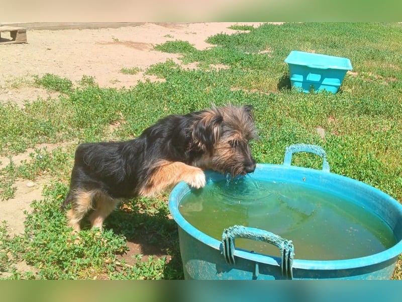 Mini MAYA sucht ein für-immer-Zuhause!