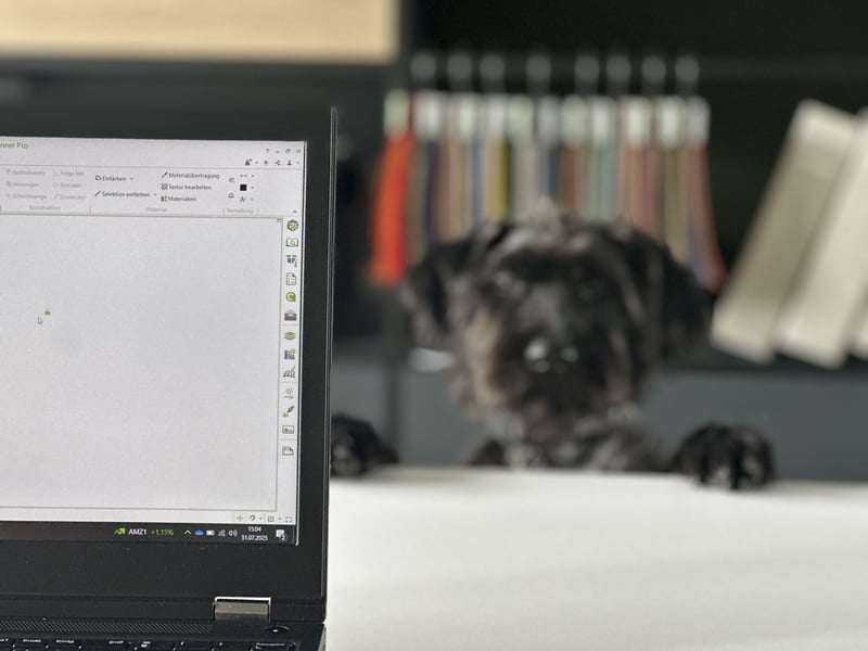 "Pumi“ – junge Schnauzer-Pumi-Mix Hündin sucht ländliches Zuhause