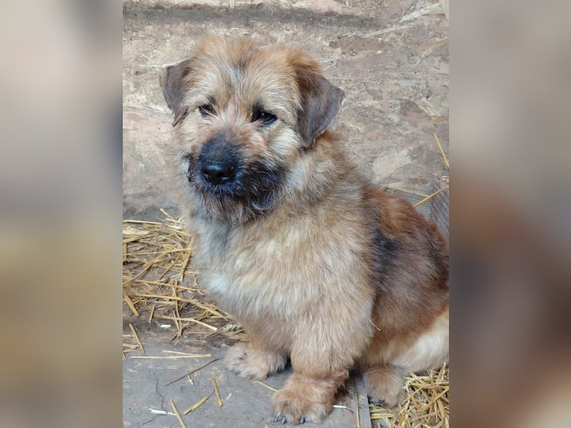 Penny - mutige Mama mit großem Herz