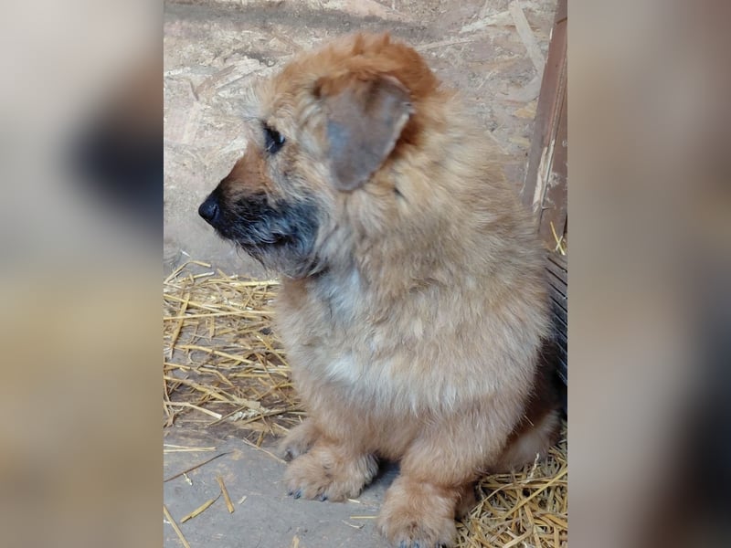 Penny - mutige Mama mit großem Herz