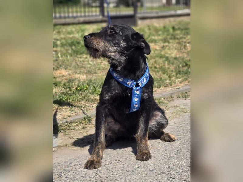 ❤️ Roby Pflegefamilie Erkelenz