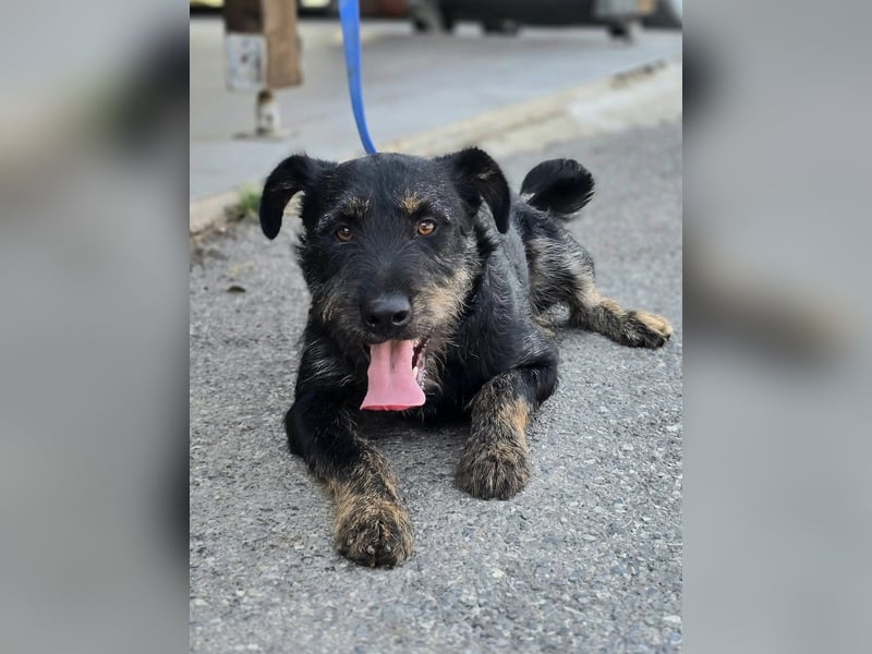 ❤️ Roby Pflegefamilie Erkelenz