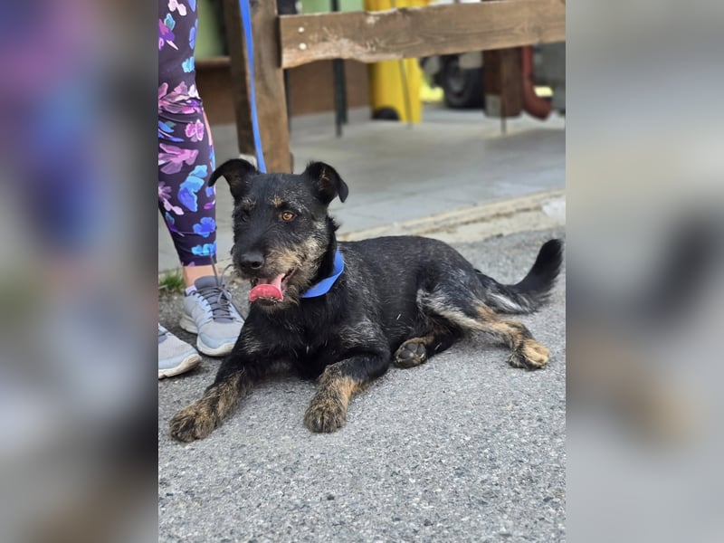 ❤️ Roby Pflegefamilie Erkelenz