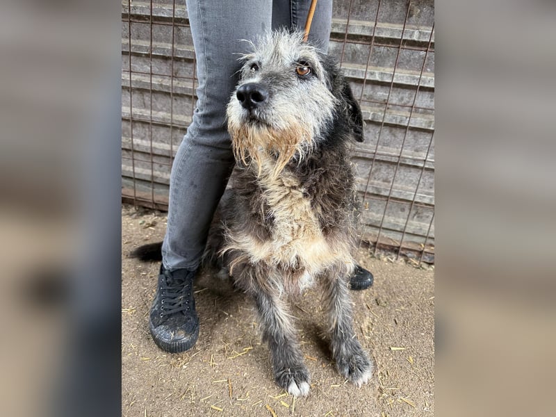 Nyuszi sucht seinen Platz