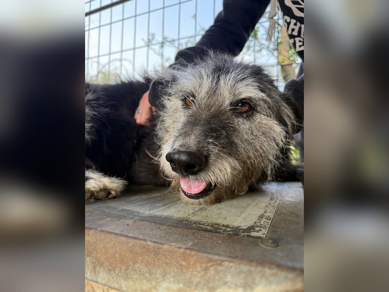 Nyuszi verschenkt gute Laune