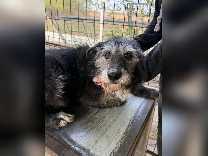 Nyuszi verschenkt gute Laune