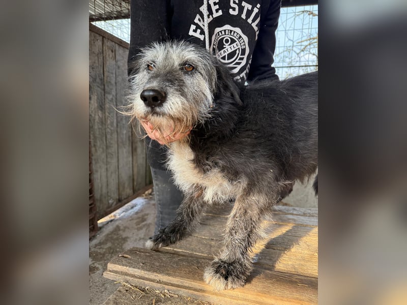 Nyuszi verschenkt gute Laune