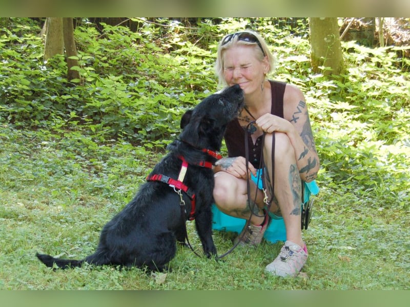 Feliciti - liebevoll und treu - Tierhilfe Franken e.V.