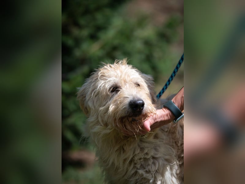 Yemen
