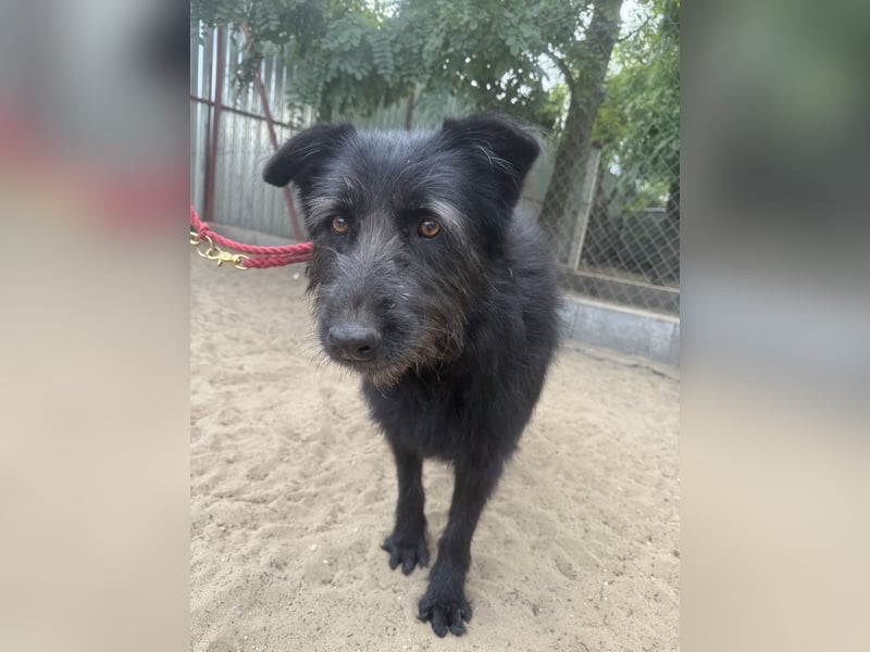 Hanife - will diesen Winter nicht zittern!