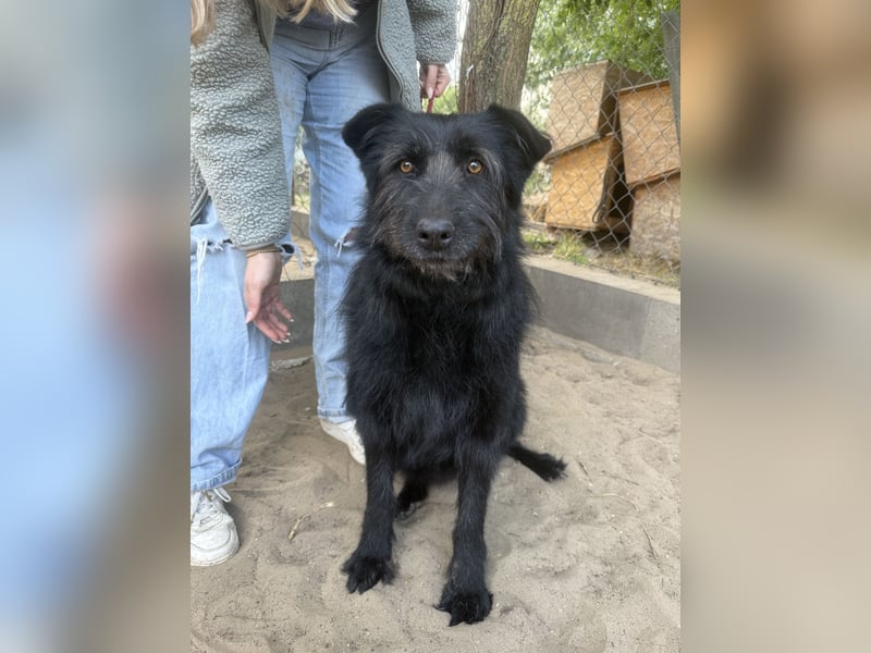 Hanife - will diesen Winter nicht zittern!