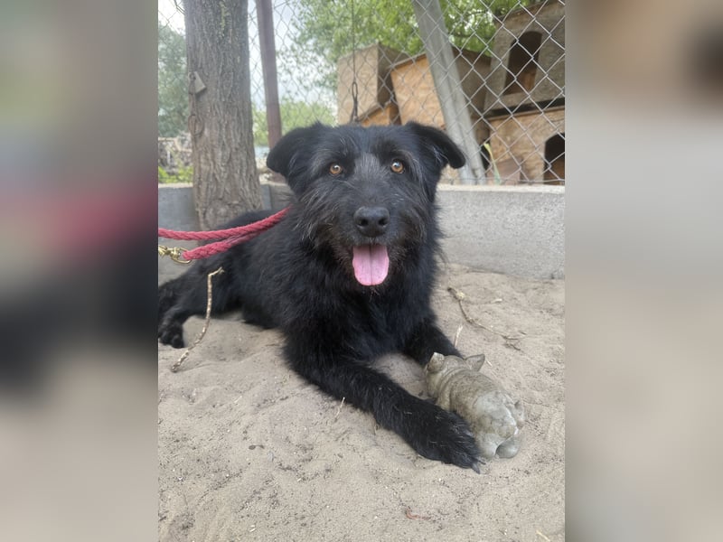 Hanife - will diesen Winter nicht zittern!