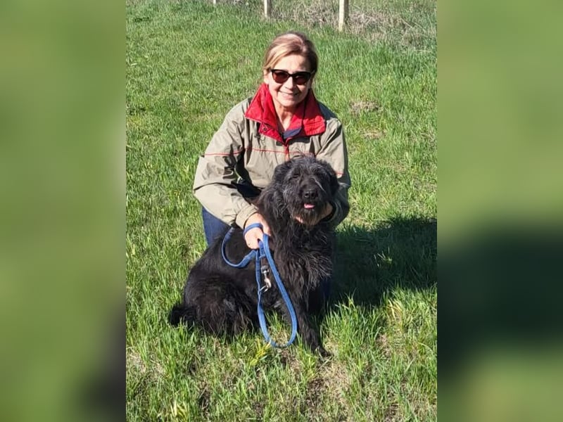 Ruven möchte zeigen, was für ein toller Hund er ist