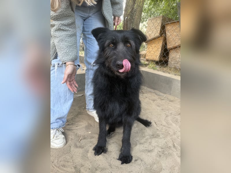 Hanife - will diesen Winter nicht zittern!