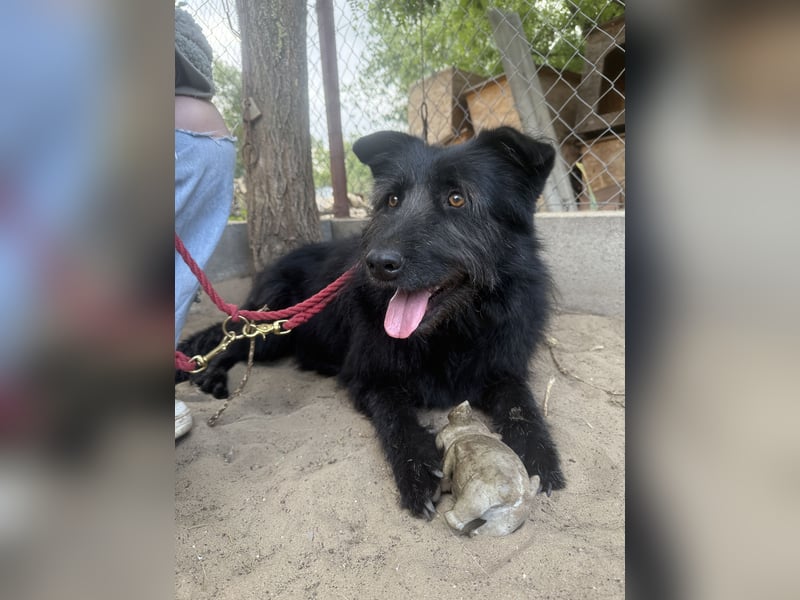 Hanife - will diesen Winter nicht zittern!