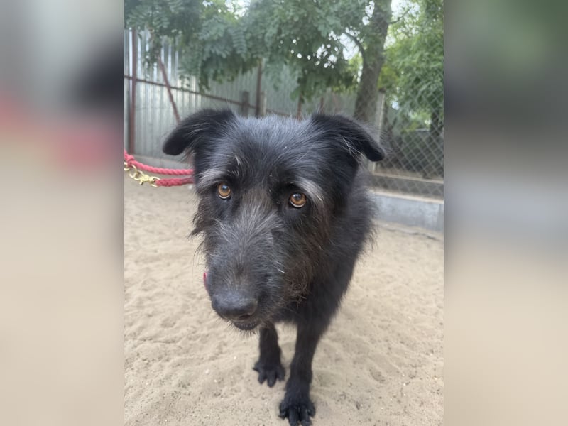 Hanife - will diesen Winter nicht zittern!