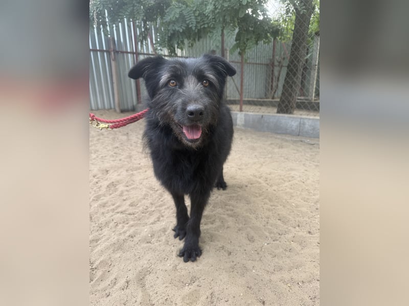 Hanife - will diesen Winter nicht zittern!