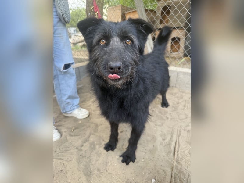 Hanife - will diesen Winter nicht zittern!