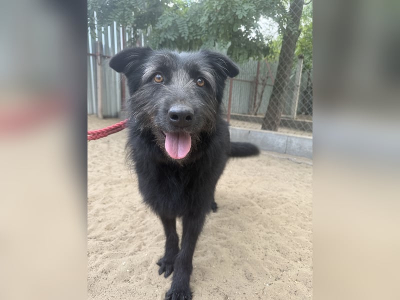 Hanife - will diesen Winter nicht zittern!