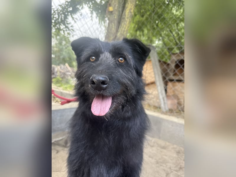 Hanife - will diesen Winter nicht zittern!