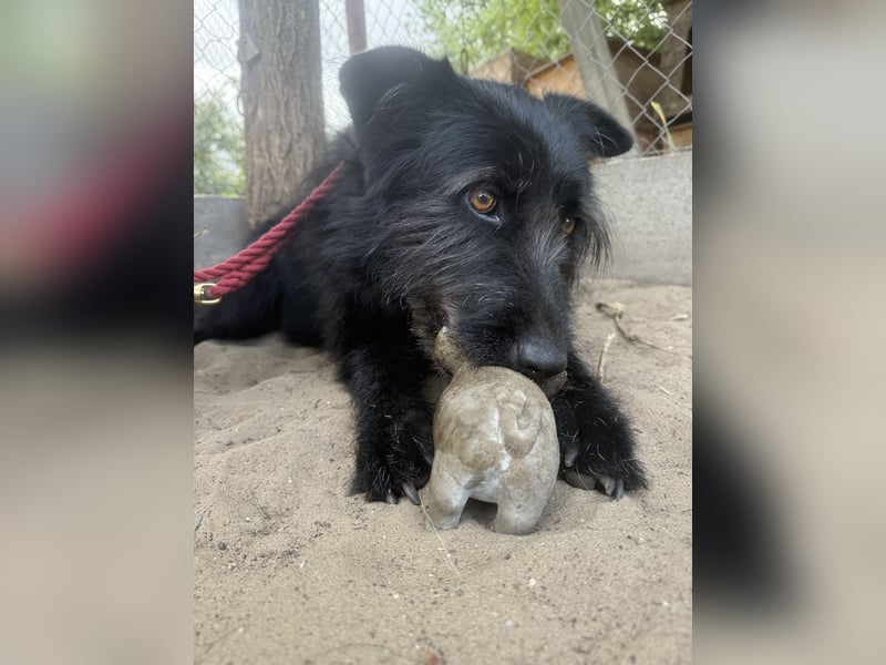 Hanife - will diesen Winter nicht zittern!