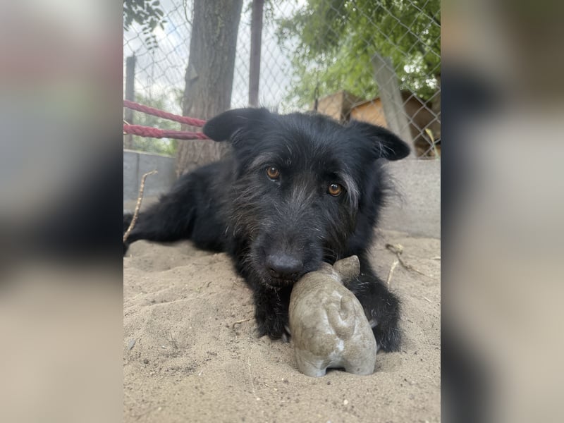 Hanife - will diesen Winter nicht zittern!