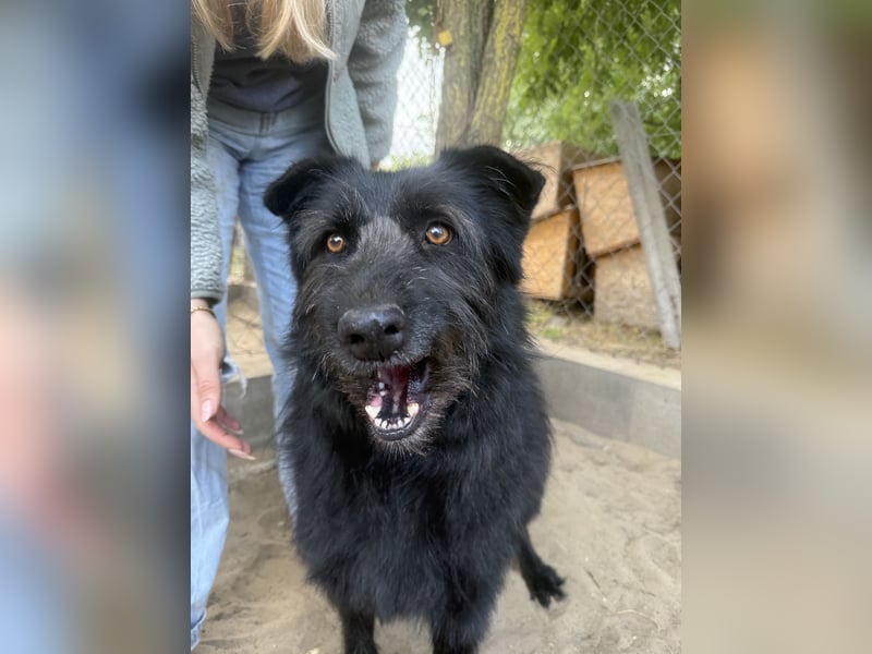 Hanife - will diesen Winter nicht zittern!