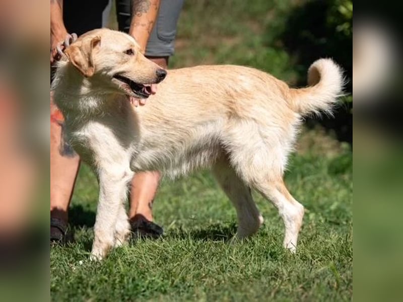 Quita