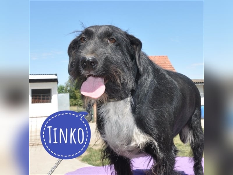 Tinko eine Knutschkugel