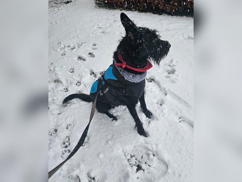 Tommy sucht das Abenteuer