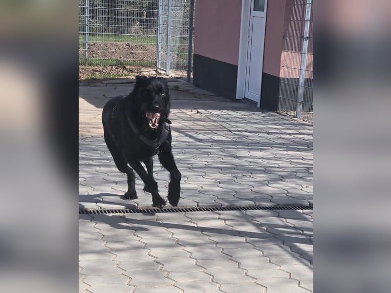 Tommy sucht das Abenteuer