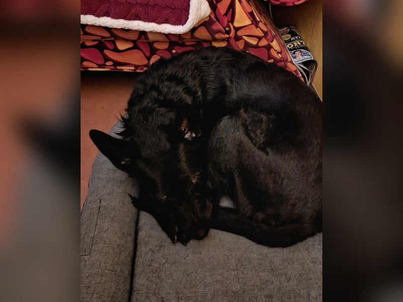 Tommy sucht das Abenteuer