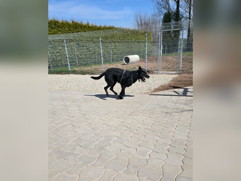 Tommy sucht das Abenteuer