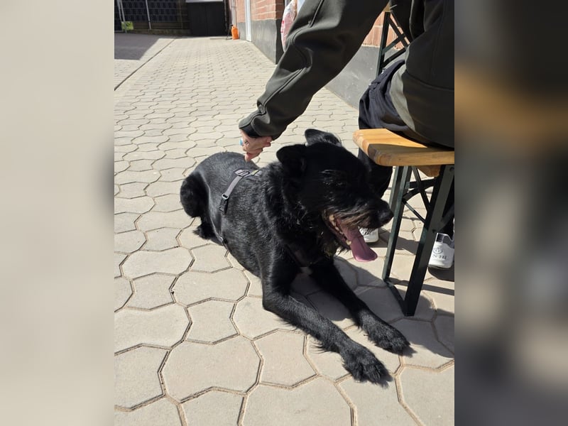 Tommy sucht das Abenteuer