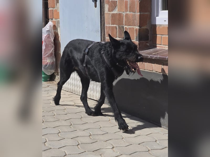 Tommy sucht das Abenteuer