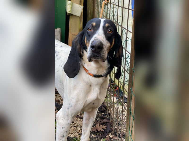 Valentin - Personaltrainer sucht Lebensstellung