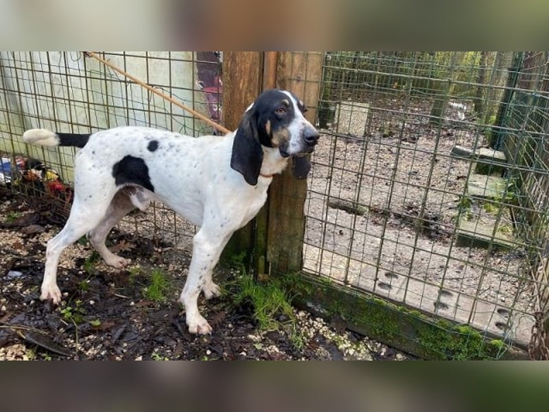 Valentin - Personaltrainer sucht Lebensstellung