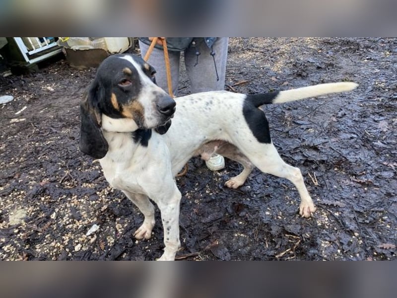 Valentin - Personaltrainer sucht Lebensstellung