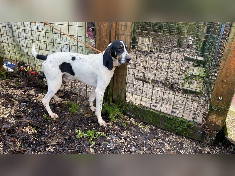 Valentin - Personaltrainer sucht Lebensstellung