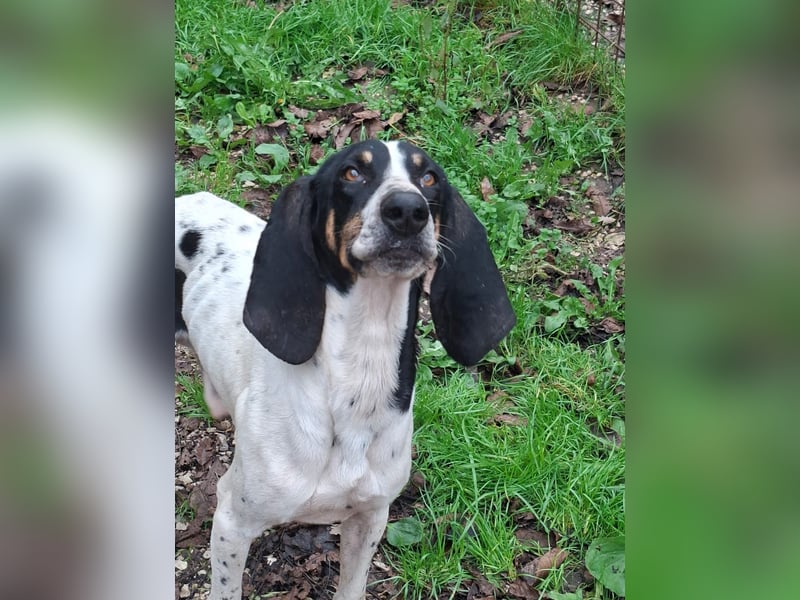 Valentin - Personaltrainer sucht Lebensstellung