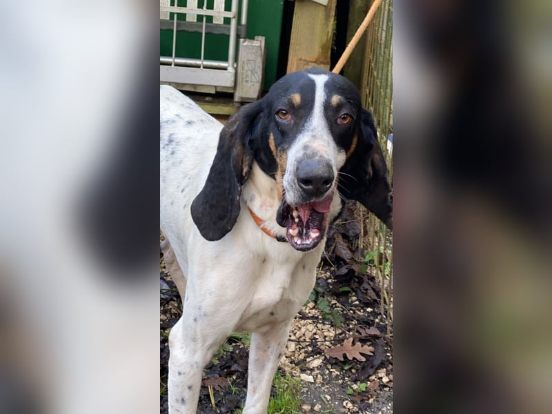 Valentin - Personaltrainer sucht Lebensstellung