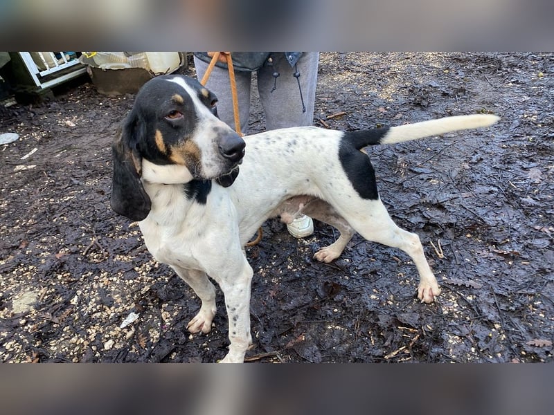 Valentin - Personaltrainer sucht Lebensstellung