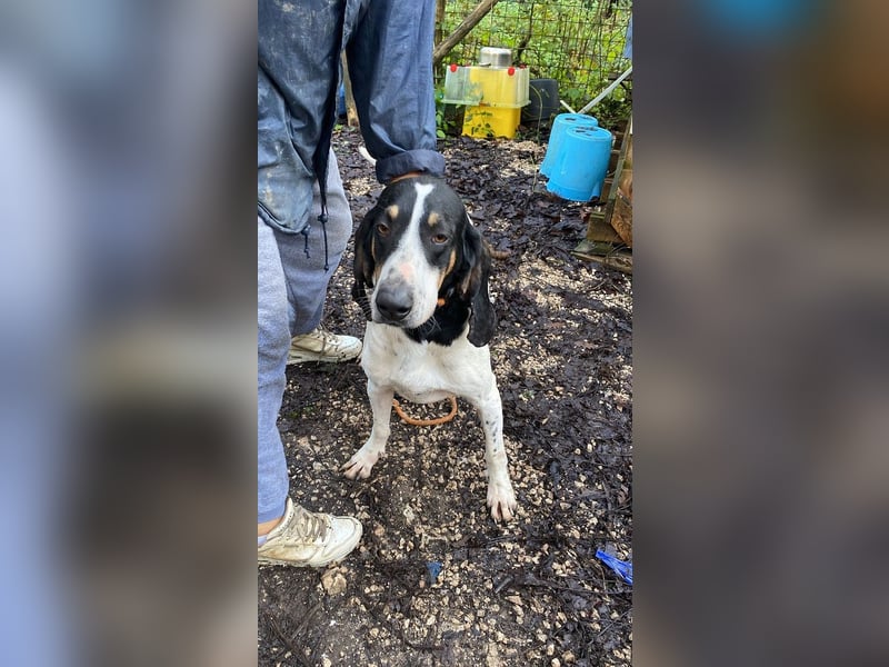 Valentin - Personaltrainer sucht Lebensstellung