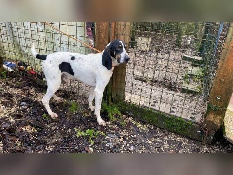 Valentin - Personaltrainer sucht Lebensstellung