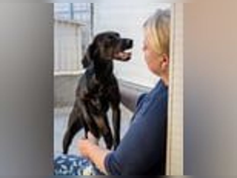 Sugar- bald auf Pflegestelle